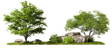 Cut Out Forest Trees Composition Design On Greenery Grass 3d Rendering Png File