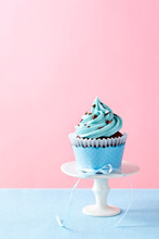 Chocolate Cupcake With Blue Icing