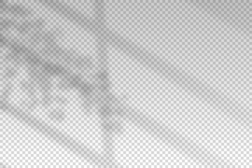 Wall Mural - shadow from light window. overlay shade blinds. reflect sun leaf on wall. reflection shades plants a