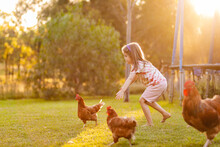 Country Kid Chasing Chickens In Golden Light On Farm