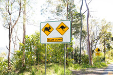 Koala And Kangaroo Road Signs