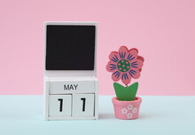 Block Wooden Calendar With The Date May 11 And Toy Decorative Plant On A Pastel Background. Spring Composition