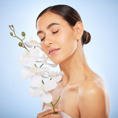 Wall Mural - Beauty, skincare and woman with an orchid in a studio for a health, wellness and natural face routine. Cosmetic, self care and girl model with clear skin from spa facial treatment by blue background.