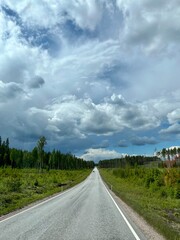 Empty asphalt road through the forest, empty road landscape