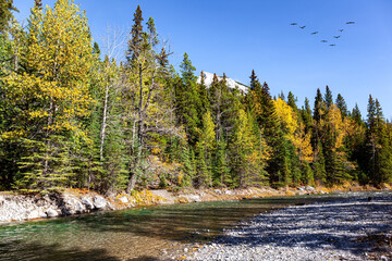 Wall Mural - Indian summer