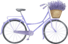 Vintage Woman Bicycle With Lavender Basket. Provence Rustic Watercolor Illustration. Country Clipart Element.