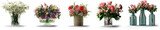 Fototapeta Abstrakcje - Isolated Set of Flowers in Vases with transparent backround in PNG file