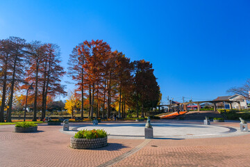 Canvas Print - 東京都葛飾区 秋の水元公園 噴水広場