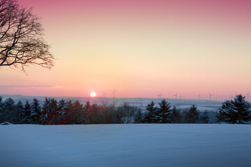 Wall Mural - Beautiful winter sunset with tree in the snow.