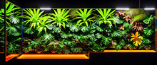 AI Generated Exotic Plants Growing Near Illuminated Wall