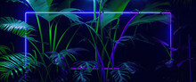 AI Generated Illustration With Neon Purple Frame And Tropical Vegetation