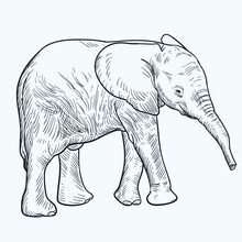 Vintage Hand Drawn Sketch Baby Elephant