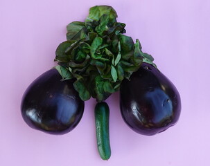 A small Cucumber and two large eggplant and lettuce leaves.  Concept of increasing penis in men. Viagra