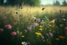  A Field Full Of Flowers And A Bee Flying Over It In The Air Above The Grass And Flowers In The Foreground.
