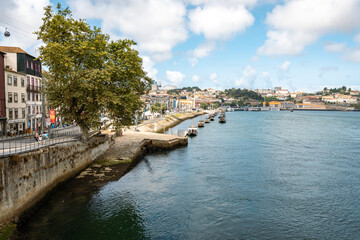 Wall Mural - Porto old town skyline from across the Douro River. Porto. Portugal. 