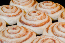 Many Cinnamon Buns Baking And Rising On Tray In Electric Oven - Close Up View. Homemade Bakery, Food, Cooking And Pastry Concept