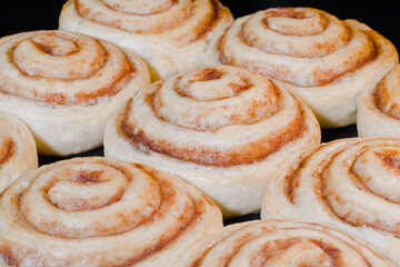 Many cinnamon buns baking and rising on tray in electric oven - close up view. Homemade bakery, food, cooking and pastry concept