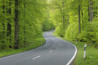 © Designpics - Road Through Forest, Spessart, Bavaria, Germany, Europe