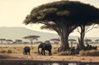 African savanna landscape with elephant