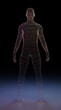Human body of man made of wire mesh. 3d rendering of futuristic scene of research and medical science or sci-fi games and movies.