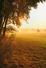 Sunrise Over Field In Autumn, Odenwald, Hesse, Germany