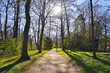 © Designpics - Path in early Spring, Park Schonbusch, Aschaffenburg, Spessart, Bavaria, Germany