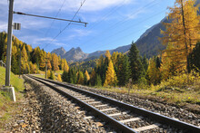 Railroad Tracks In Autumn, Preda, Albula Pass, Grisons, Switzerland