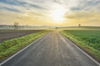 © Designpics - Morning sun shining over a country road in Freiensteinau in the Vogelsberg District in Hesse, Germany