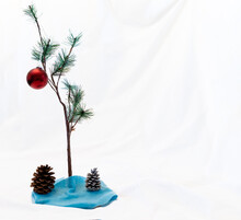 Small Christmas Tree With One Red Ornament On A White Background As In A Charlie Brown Christmas