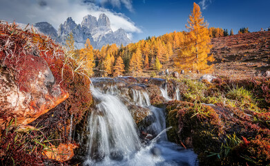 Fototapete - Scenic image of mountains. Great view on waterfall, colorful trees on the alpine highland during sunset. Wonderful Nature landscape. Travel is a Lifestyle, concept. Amazing mountain autumn scenery.