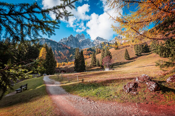 Wall Mural - View on road in forest, mountains and perfect sky on background. Wonderful nature landscape. Amazing natural Background. Popular travel destination. Filzmoos, Salzburg, Austria. Picture of Wild Area