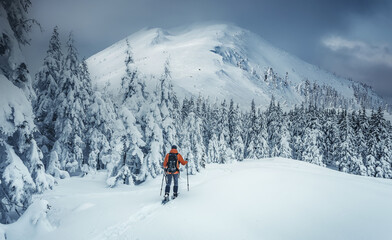 Leinwandbilder - Incredible nature scenery im mountain. Beautiful natural landscape in the winter sunny day. Adventurous traveller standing in front Snowcovered trees and majestic rocky mount, under sunlight.