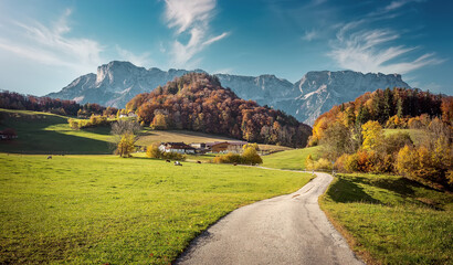 Papier Peint - Scenic image of Swiss Alps. Panoramic view of idyllic mountain scenery in the Alps with fresh green meadows on a beautiful sunny day in autumn. grassy field and rolling hills. rural scenery