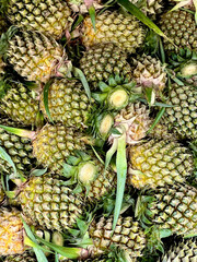 Wall Mural - pineapple in the market