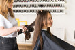 © Виктория Попова - The hairdresser dries the client's hair with a hair dryer and styles her hair with a comb.
