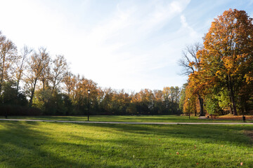 Wall Mural - picturesque view of park with beautiful trees and green grass on sunny day. autumn season