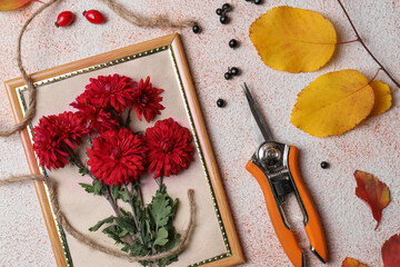 Wall Mural - Flat lay composition with secateurs, twine and Chrysanthemum flowers on light textured table