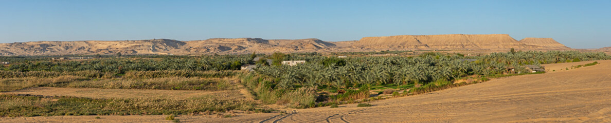 Wall Mural - Panoramic view over remote desert landscape with oasis