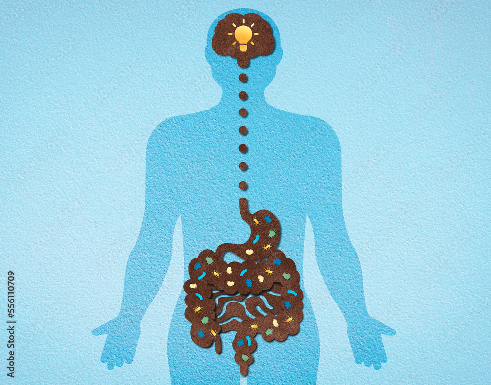 The Gut-Brain Axis - Conceptual Illustration Stock Illustration | Adobe ...
