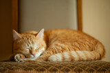 Fototapeta Perspektywa 3d - portrait of a cute ginger cat curled up on a chair sleeping in a comfortable position. Cute ginger cat fell asleep on the chair. Selective focus, dof, closeup