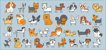  Pattern Of Many Different Dog Breed