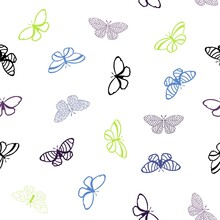 Summer Butterfly Seamless Animals Line Art Doodle Pattern For Wrapping Paper And Kids Clothes Print And Fabrics
