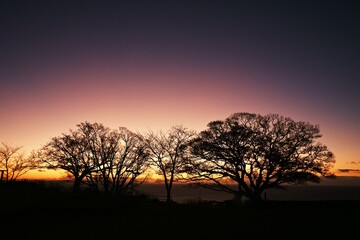 Poster - A view of the sunrise morning glow. Natural background material.