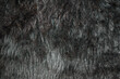 Black wool texture, abstract fur background