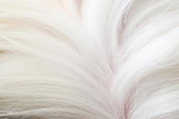 Absfur, wool, white, background, texture, pattern, abstract, fluffy, dogs, fluff, close up, wool background, decorative, dog fur, silky background, cleantract close-up white dog fur background texture