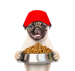 Poster - Hungry Pug puppy wearing red cap holds bowl of dry dog food. isolated on white background