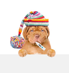 Poster - Sad puppy wearing warm hat holds thermometer in it mouth and looks above empty white banner. isolated on white background