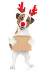 Poster - Jack russell terrier puppy dressed like santa claus reindeer Rudolf holds big box. isolated on white background