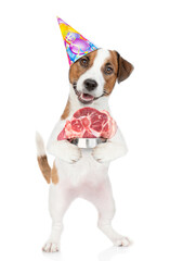 Leinwandbilder - Jack russell terrier holds bowl of raw meat. isolated on white background