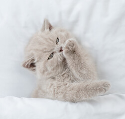 Aufkleber - Tiny kitten washing and cleaning itself under blanket on a bed at home. Top down view